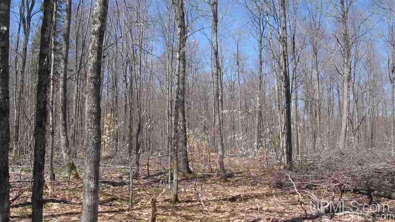 0 Co Road, Unit BECKS LAKE McMillan, MI 49853 - Photo 3 of 5