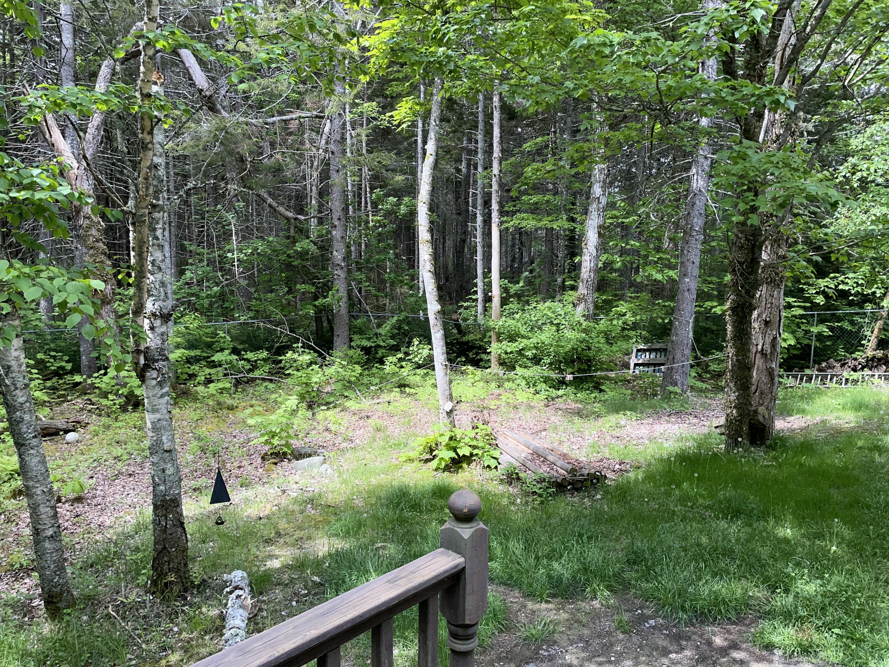 29 Red Fern Road Trenton, ME 04605 - Photo 16 of 17 IMG_8329