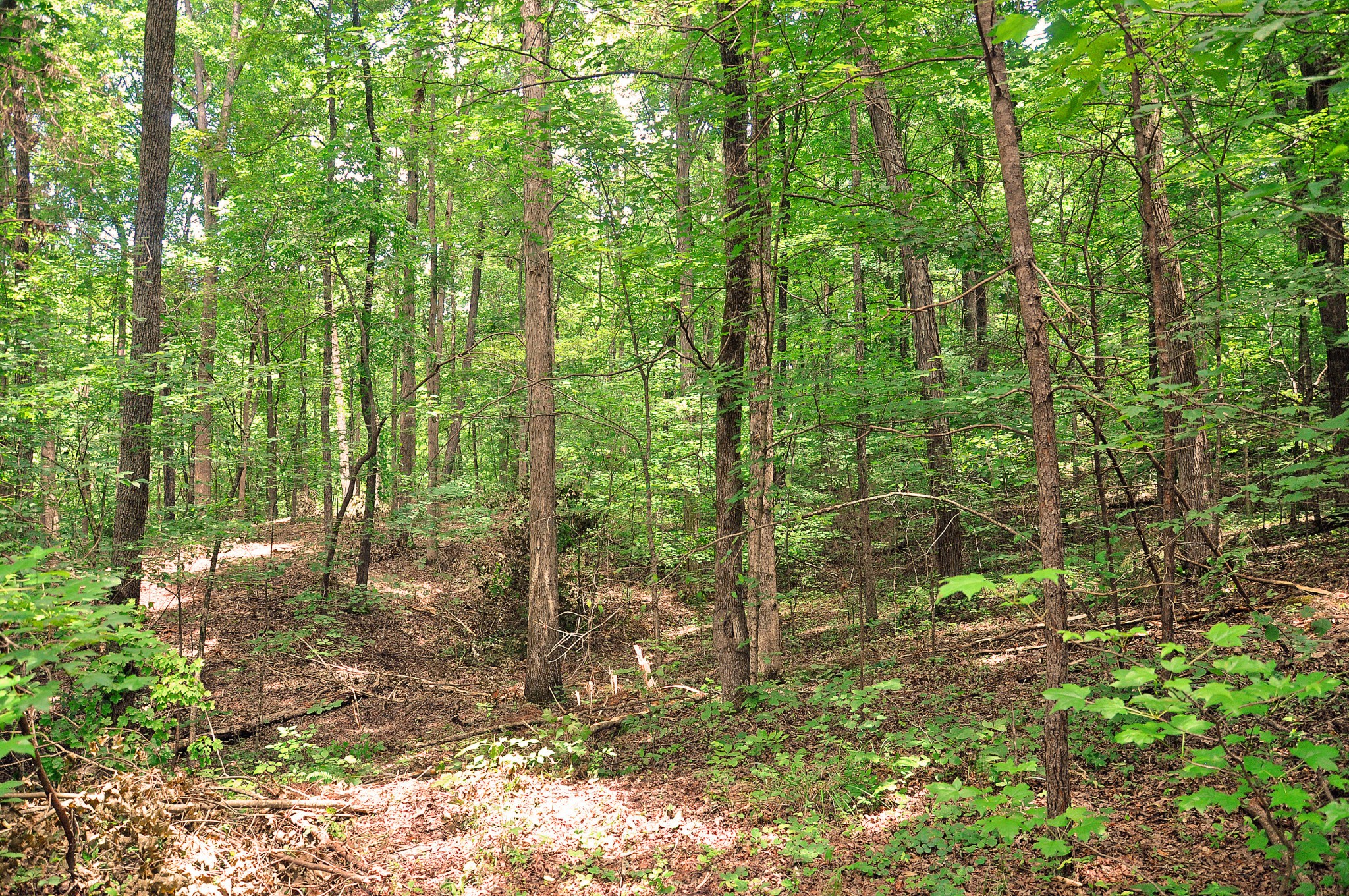 3 Johnston Road McDonald, TN 37353 - Photo 3 of 5 Gallery Image 3