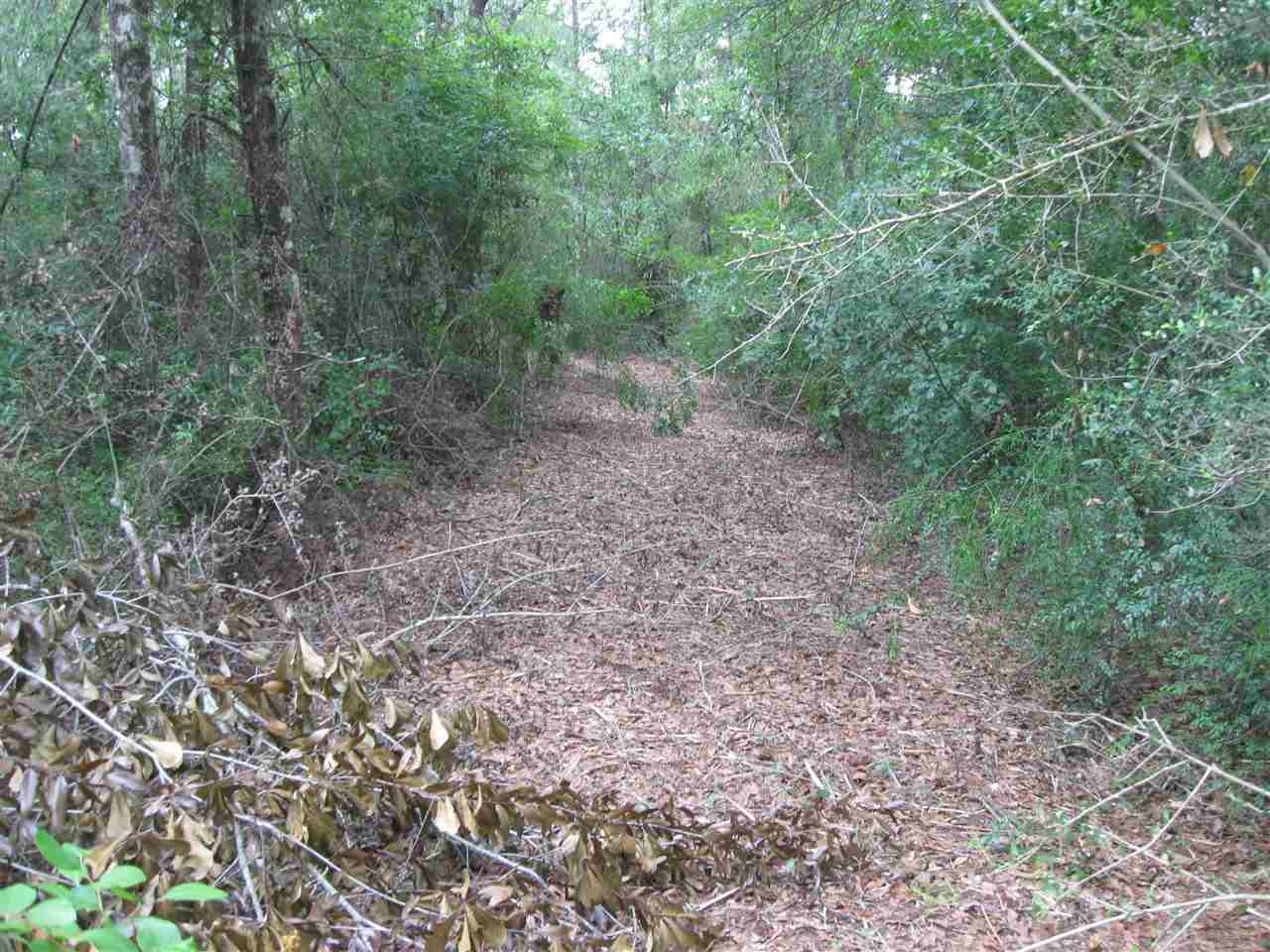 3573 Molino Road Molino, FL 32577 - Photo 2 of 7 Gallery Image 2