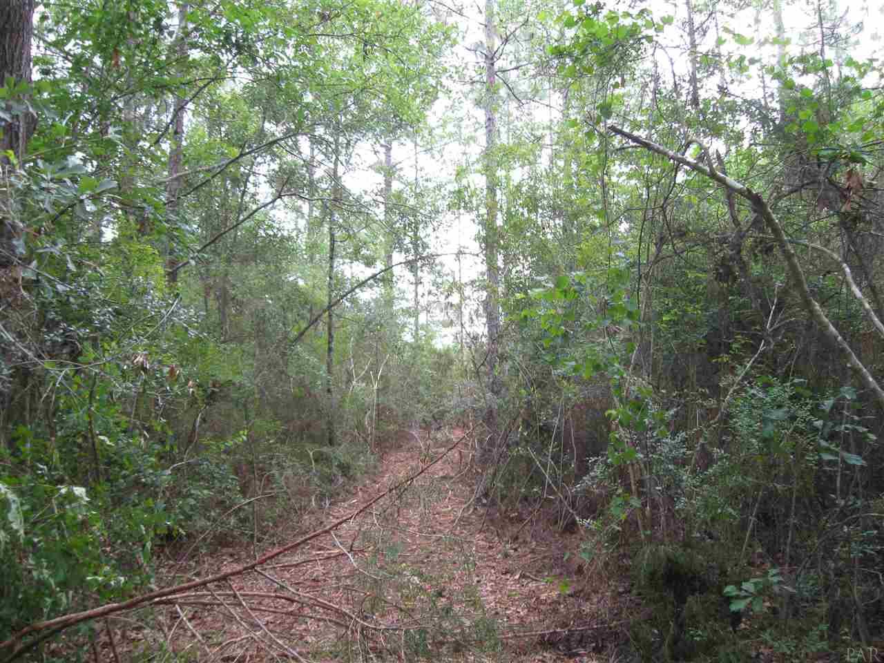 3573 Molino Road Molino, FL 32577 - Photo 4 of 7 Gallery Image 4
