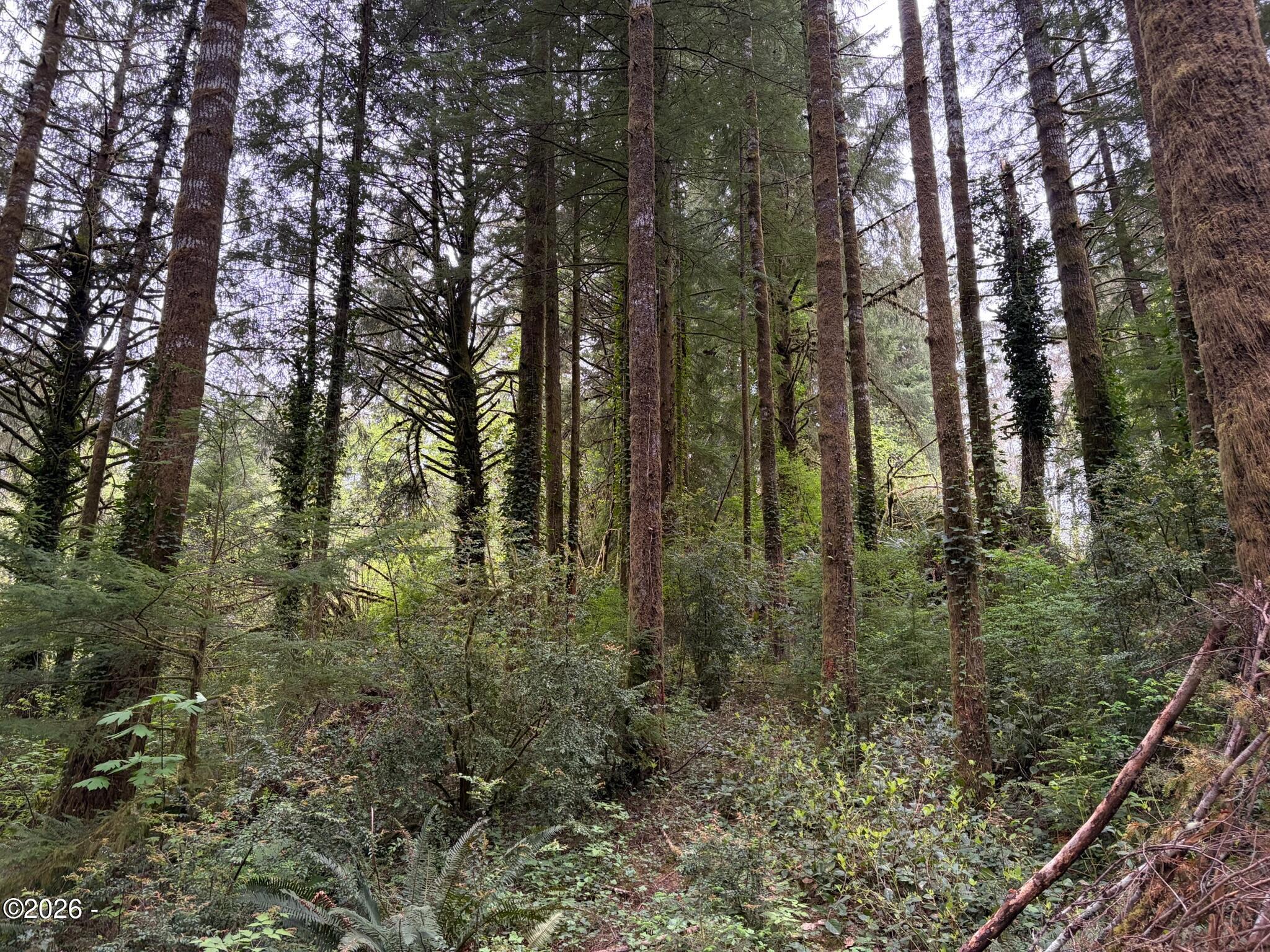 1916 Northeast Wagon Road Toledo, OR 97391 - Photo 29 of 33