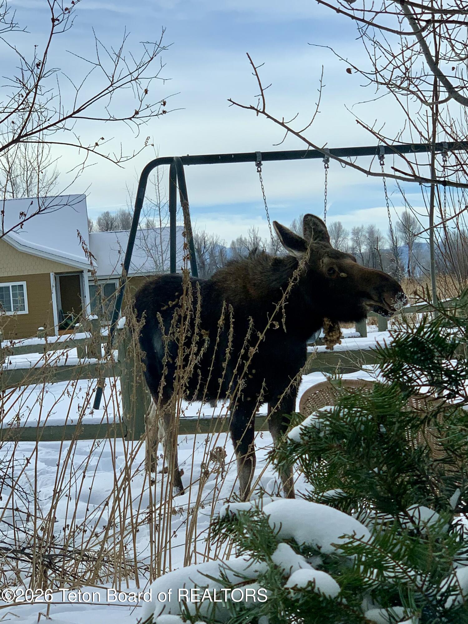 430 Forest View Drive Driggs, ID 83422 - Photo 38 of 39 IMG_8126