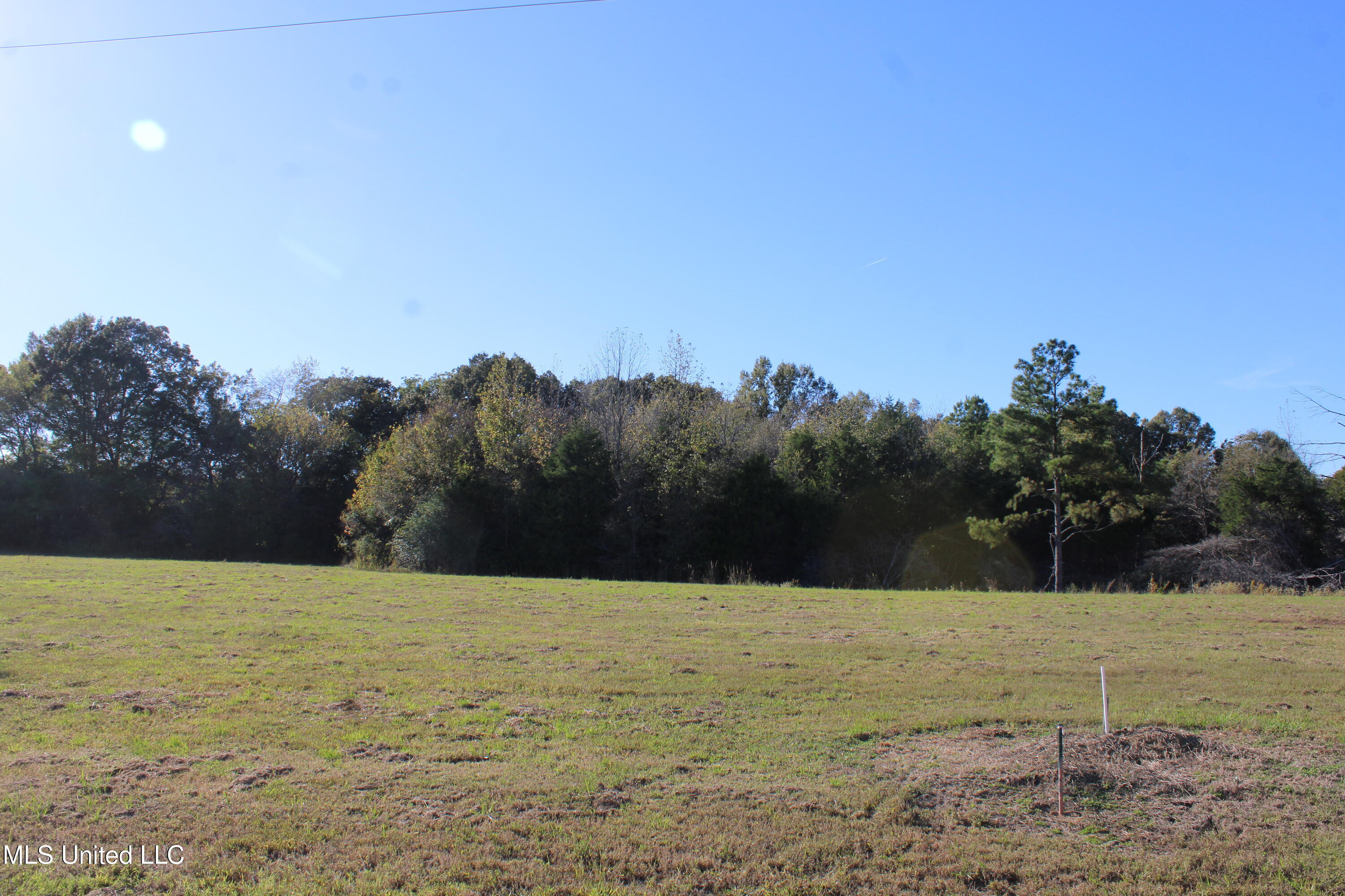 120 Bull Horn Road Como, MS 38619 - Photo 11 of 21 IMG_6840