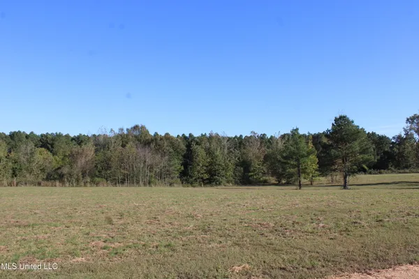 $33,000 | 120 Bull Horn Road, Como, MS 38619