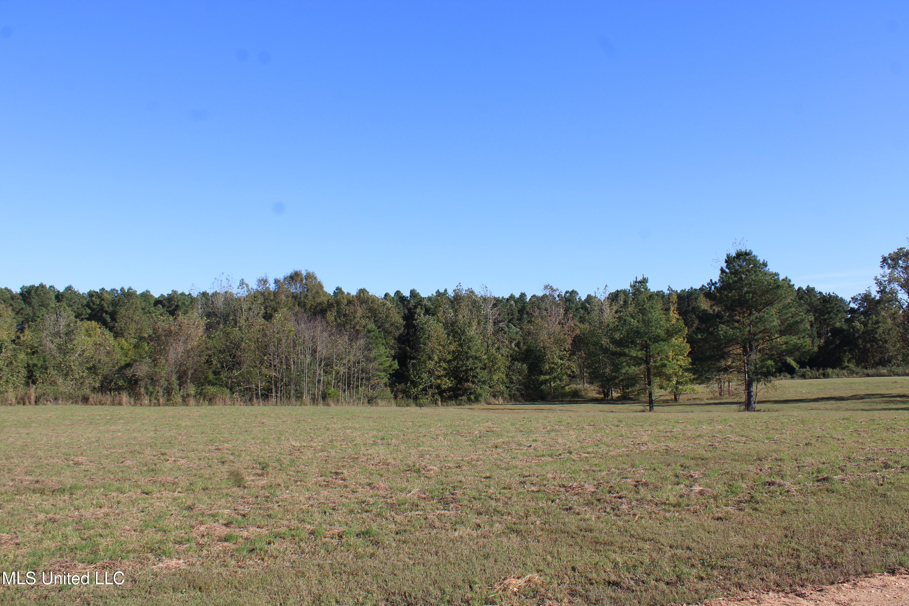 120 Bull Horn Road Como, MS 38619 - Photo 17 of 21 IMG_6846