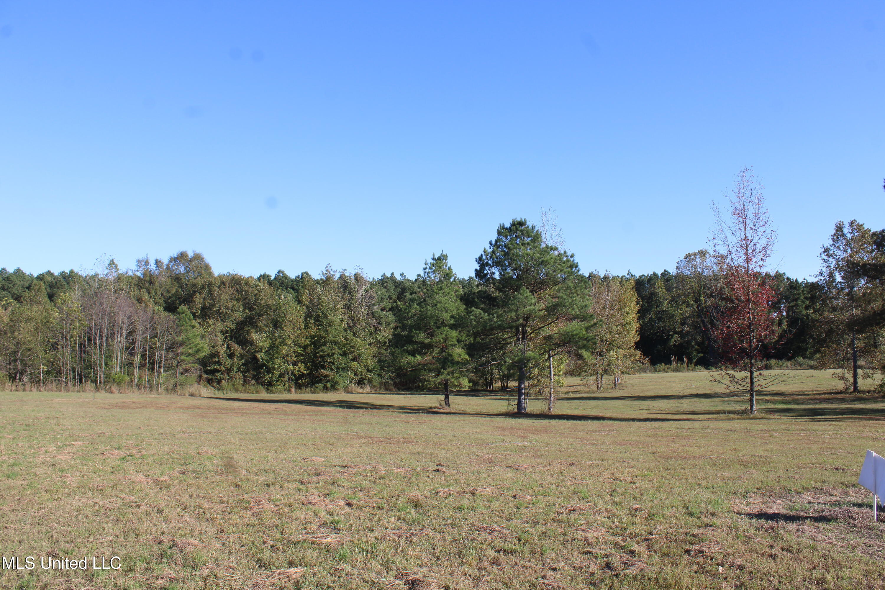 120 Bull Horn Road Como, MS 38619 - Photo 18 of 21 IMG_6847