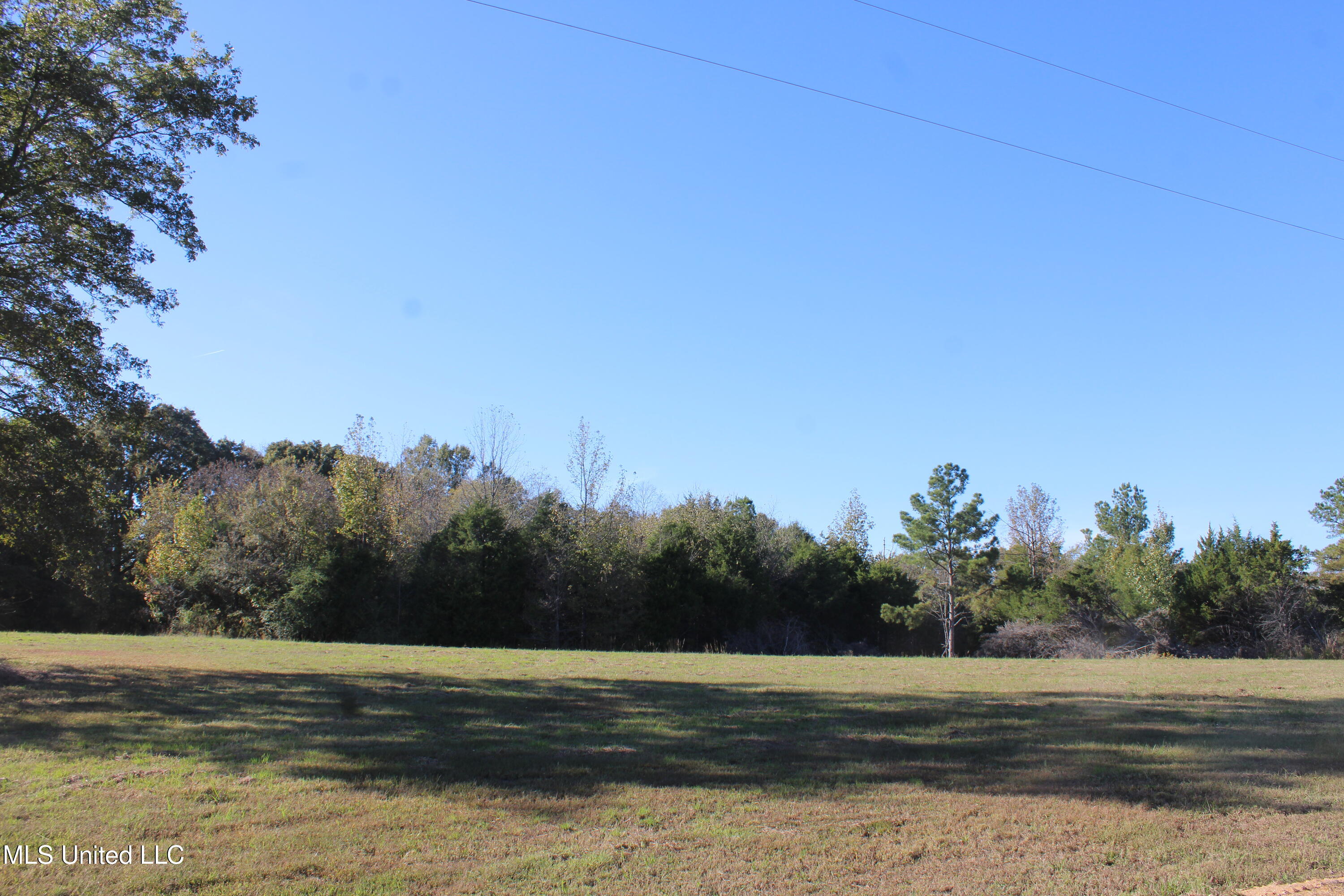 120 Bull Horn Road Como, MS 38619 - Photo 10 of 21 IMG_6839
