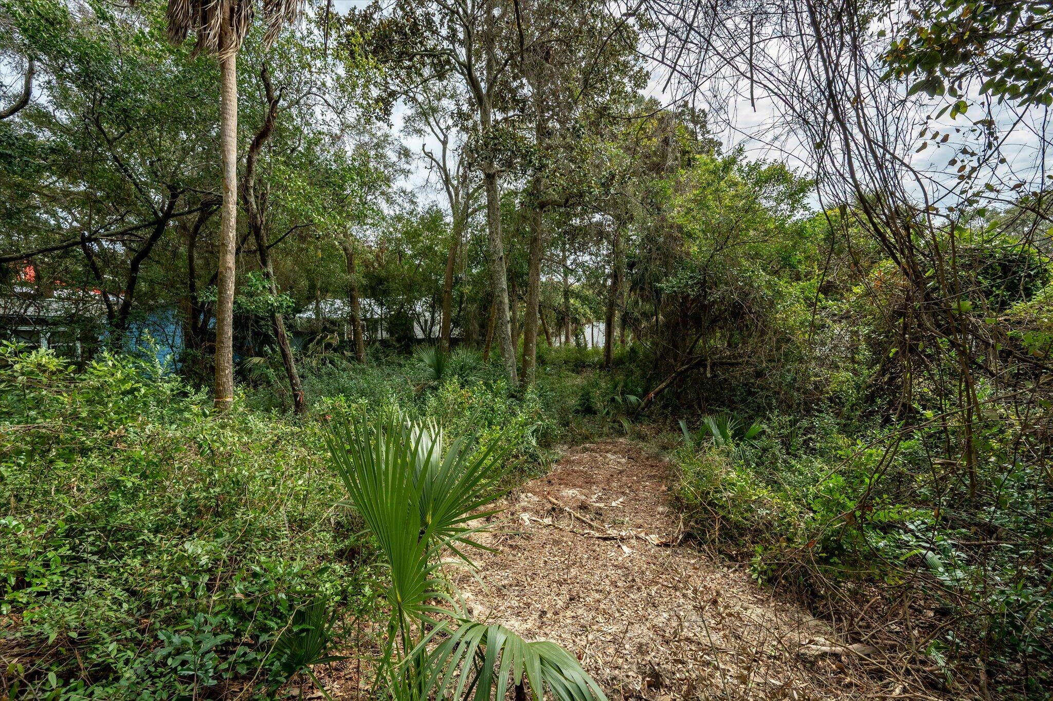 406 East Erie Avenue Folly Beach, SC 29439 - Photo 27 of 27 29-E Erie_e_Lowcountry_Exposure-5