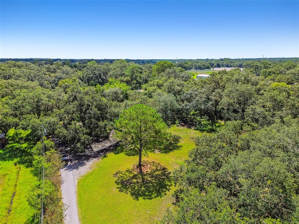 2513 North Valrico Road Seffner, FL 33584 - Photo 71 of 76