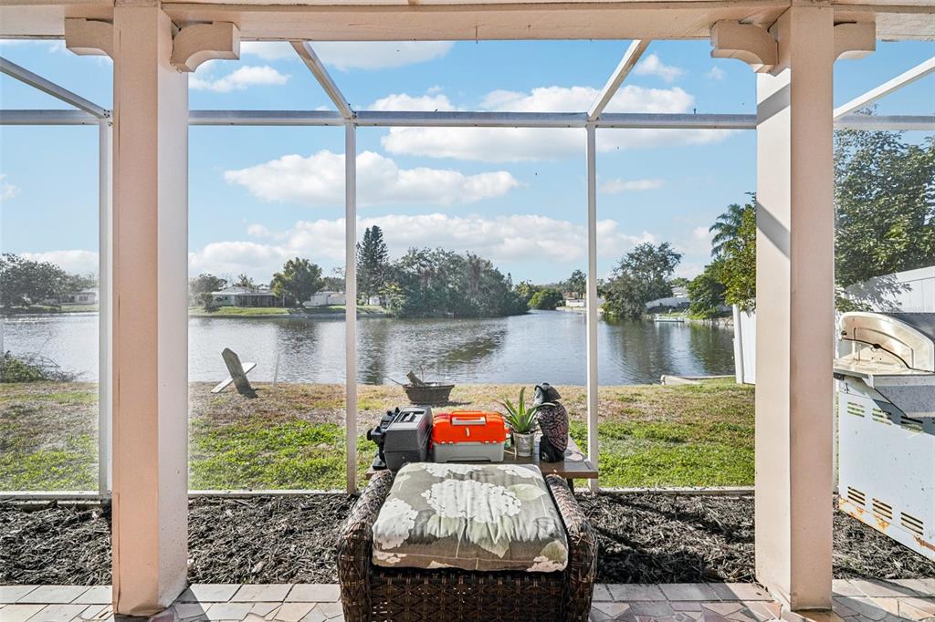 3431 Springfield Drive Holiday, FL 34691 - Photo 47 of 71