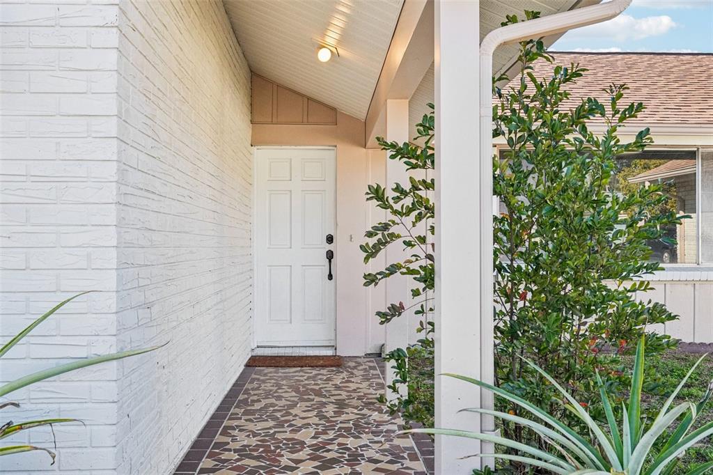 3431 Springfield Drive Holiday, FL 34691 - Photo 5 of 71