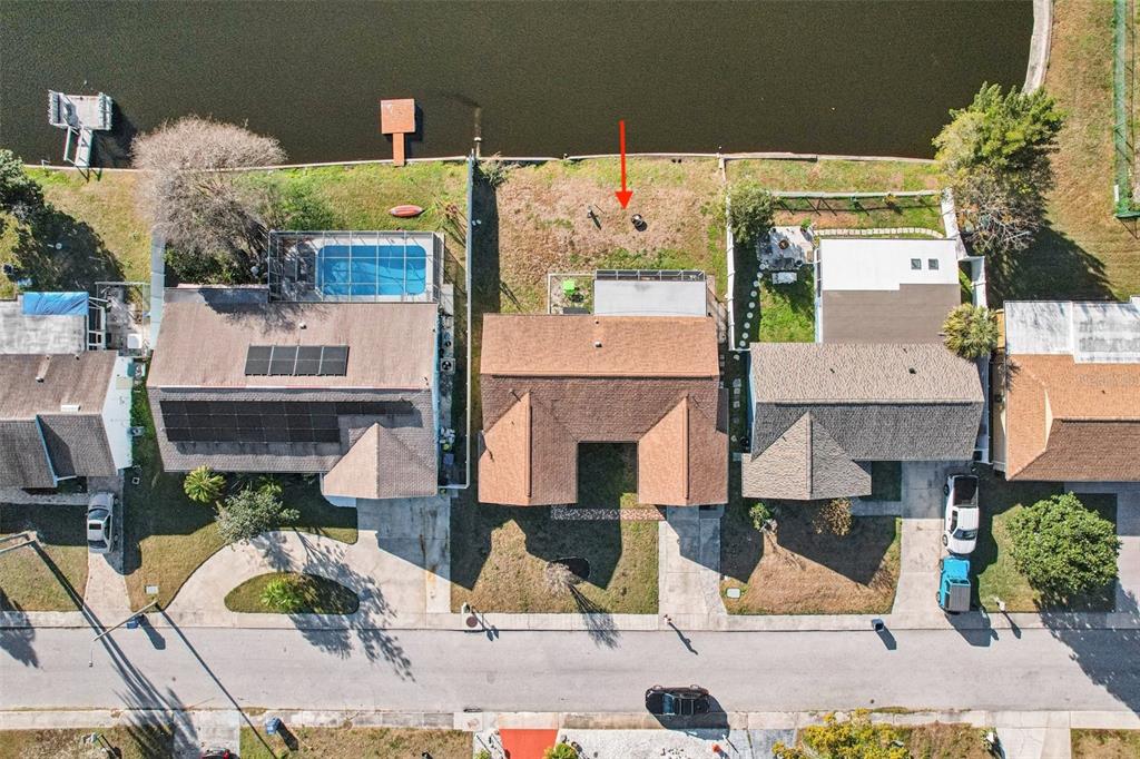 3431 Springfield Drive Holiday, FL 34691 - Photo 57 of 71