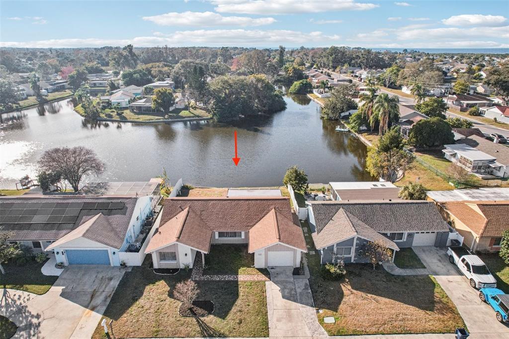 3431 Springfield Drive Holiday, FL 34691 - Photo 58 of 71