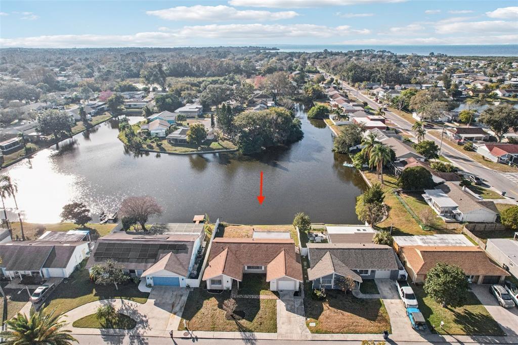 3431 Springfield Drive Holiday, FL 34691 - Photo 59 of 71