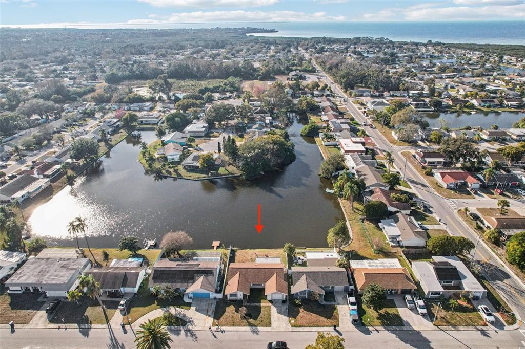 3431 Springfield Drive Holiday, FL 34691 - Photo 60 of 71