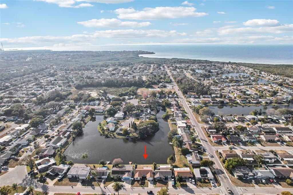 3431 Springfield Drive Holiday, FL 34691 - Photo 61 of 71