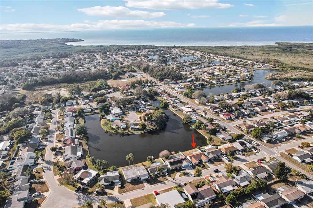 3431 Springfield Drive Holiday, FL 34691 - Photo 62 of 71