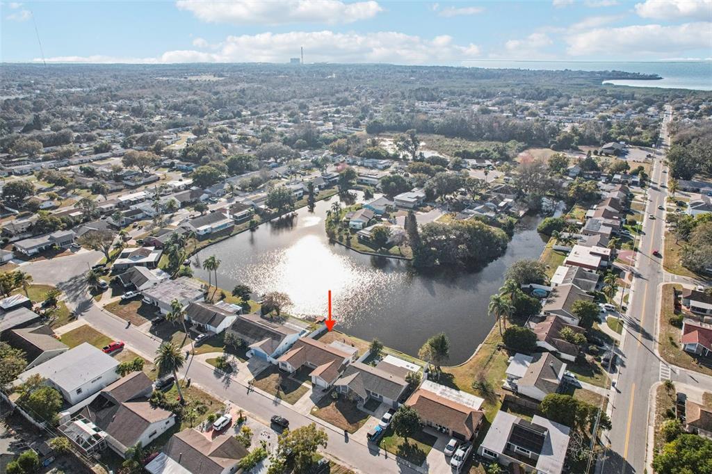 3431 Springfield Drive Holiday, FL 34691 - Photo 63 of 71