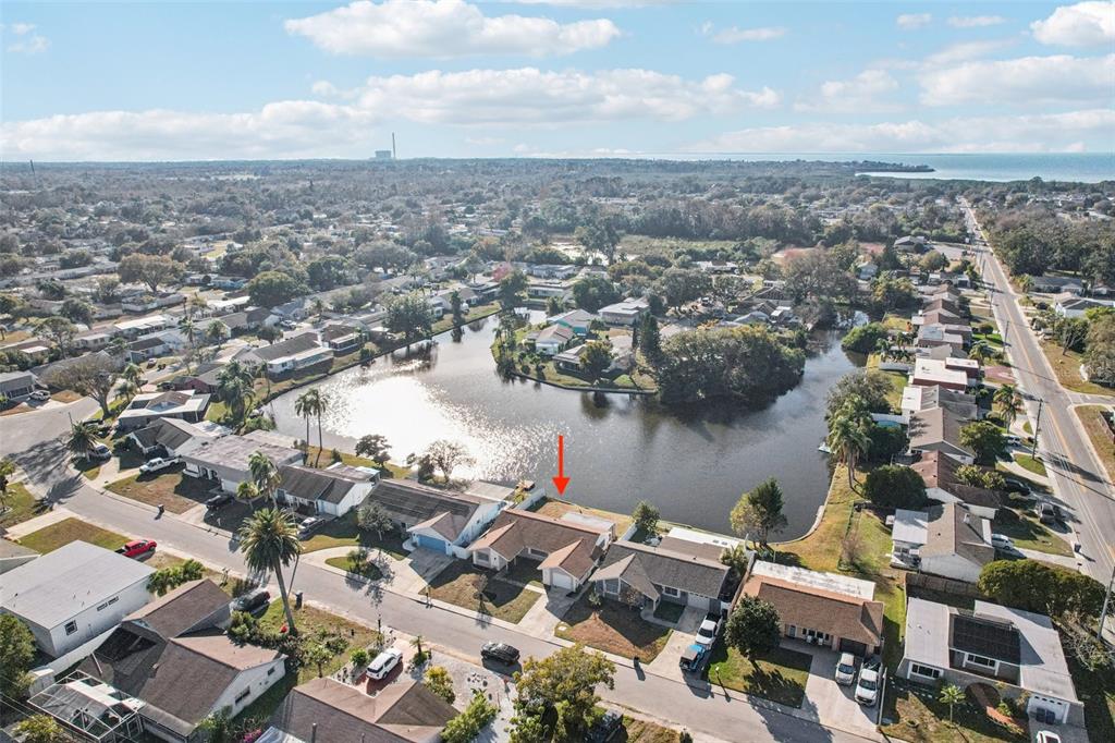 3431 Springfield Drive Holiday, FL 34691 - Photo 64 of 71