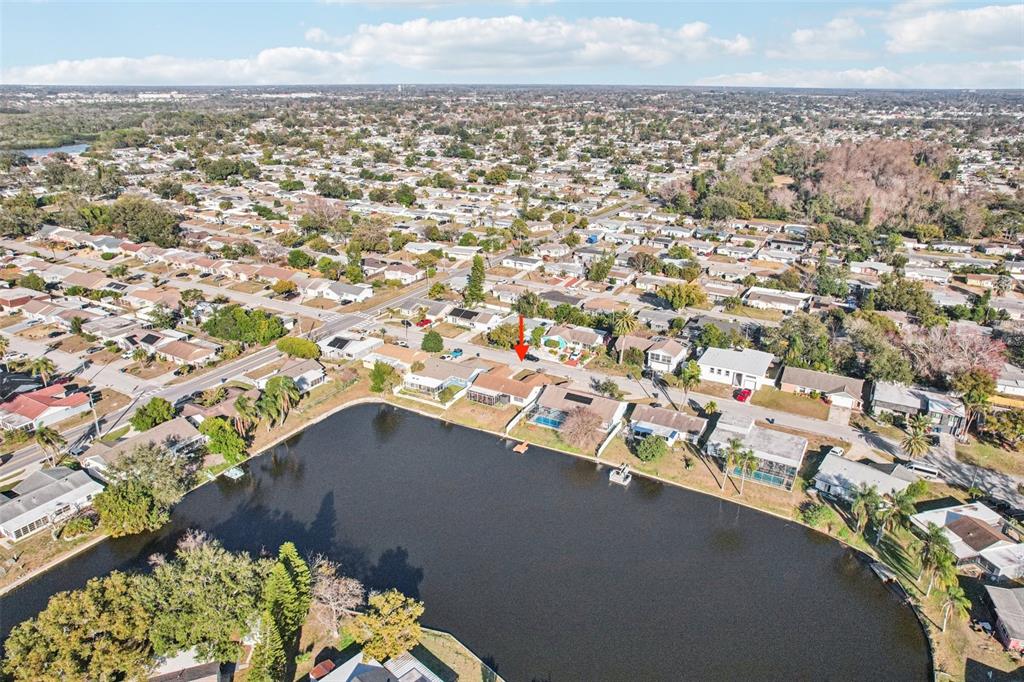 3431 Springfield Drive Holiday, FL 34691 - Photo 66 of 71