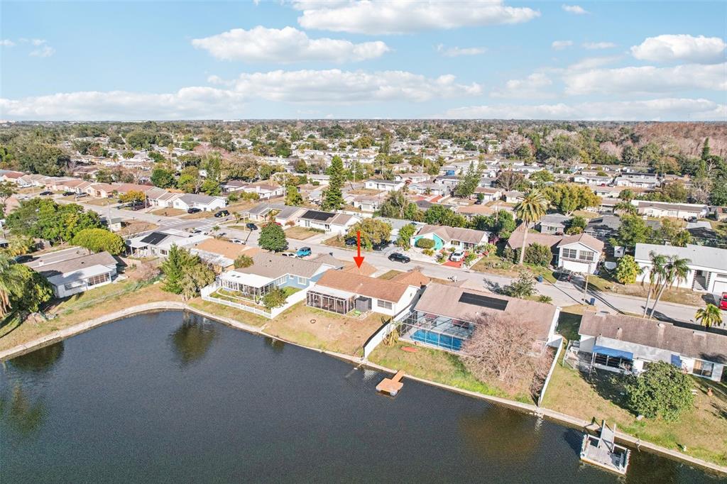 3431 Springfield Drive Holiday, FL 34691 - Photo 67 of 71