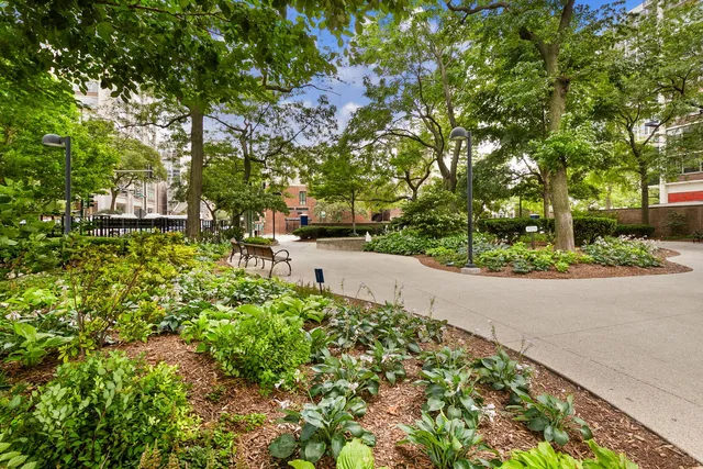 a view of swimming pool with outdoor seating and plants