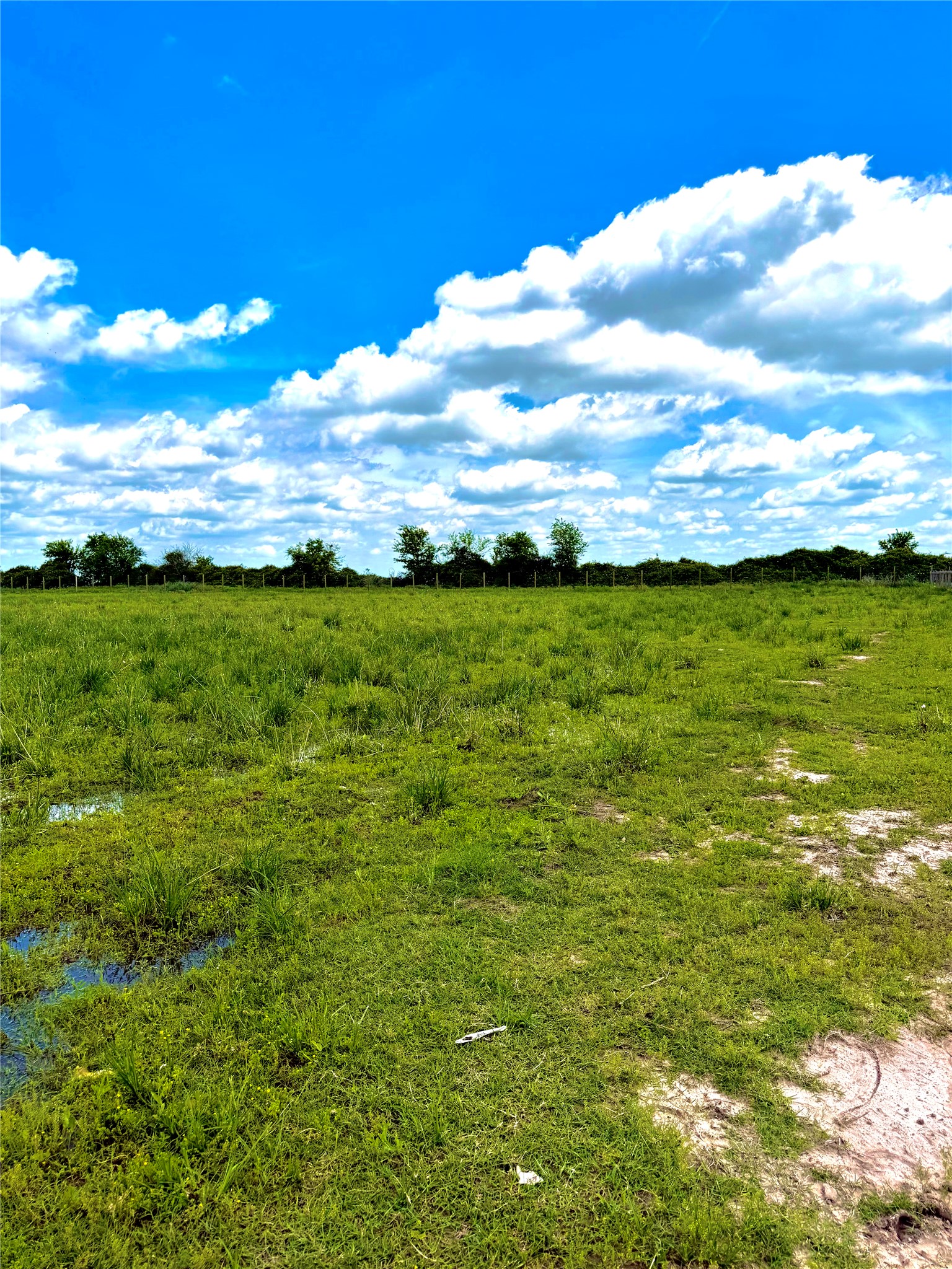 43 Mcdonald Road Eagle Lake, TX 77434 - Photo 6 of 14 a view of a field with an ocean