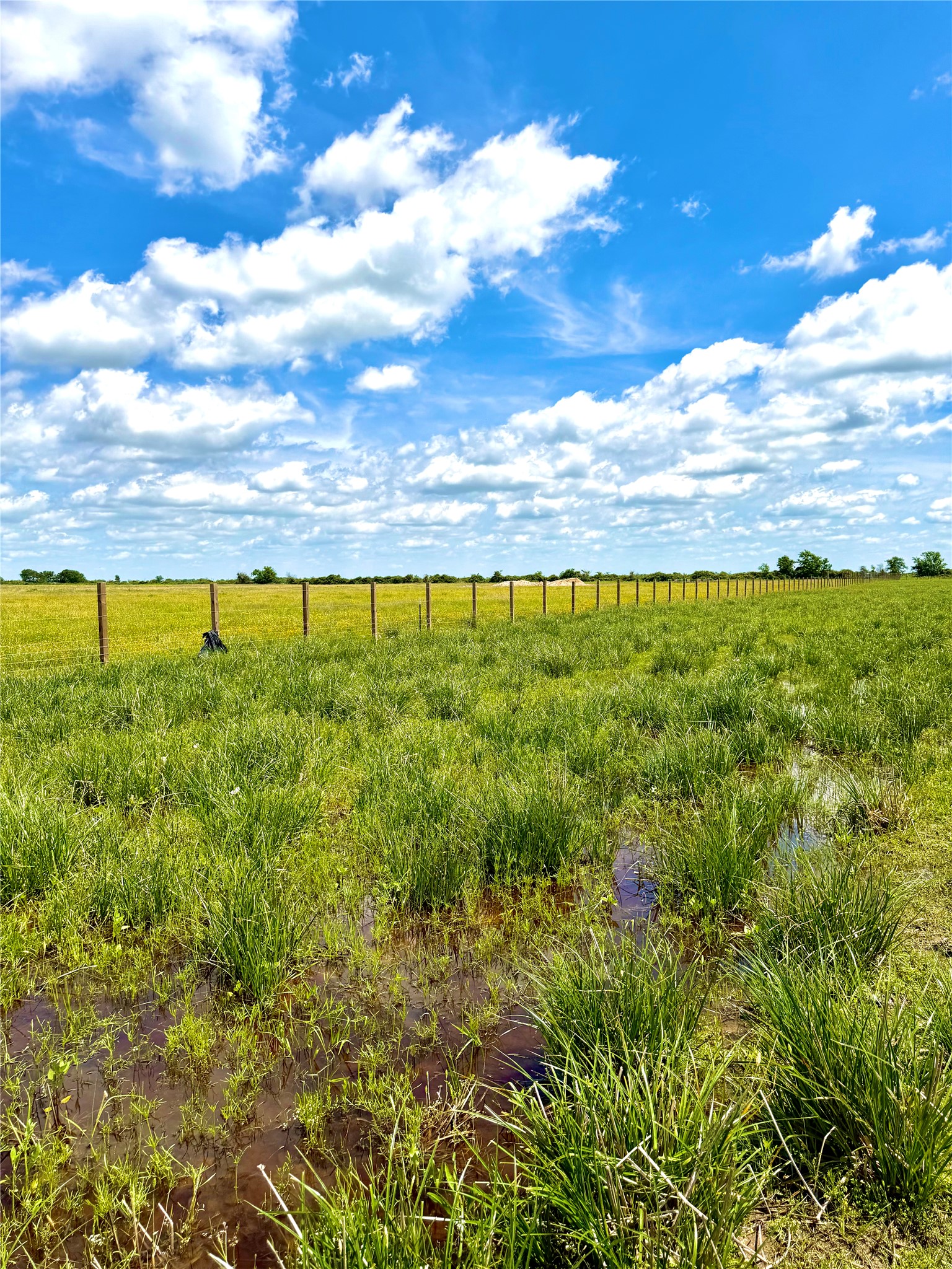 43 Mcdonald Road Eagle Lake, TX 77434 - Photo 10 of 14 a view of an ocean from a yard
