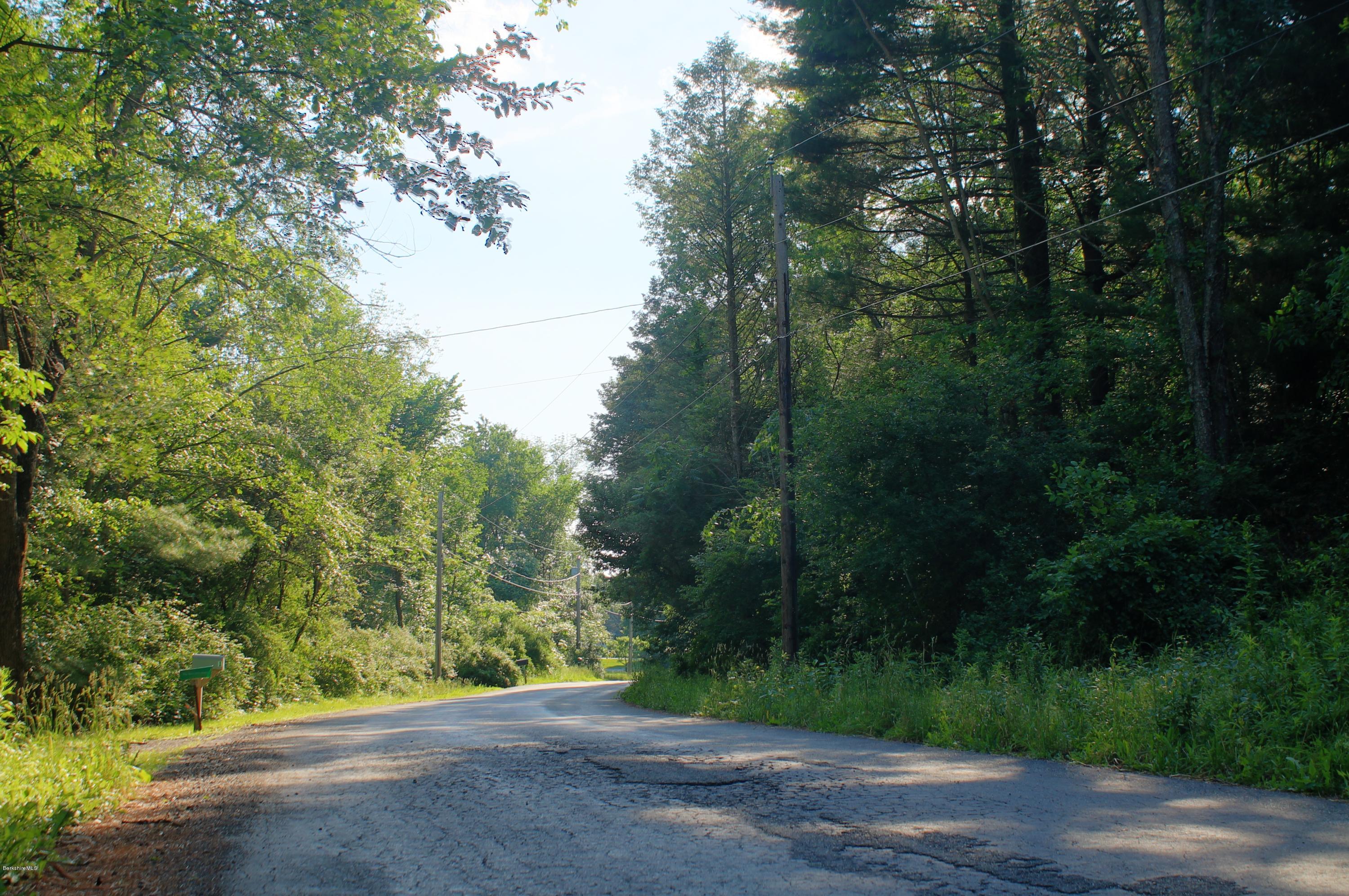 Iron Ore Road West Stockbridge, MA 01266 - Photo 5 of 8 a view of road and trees