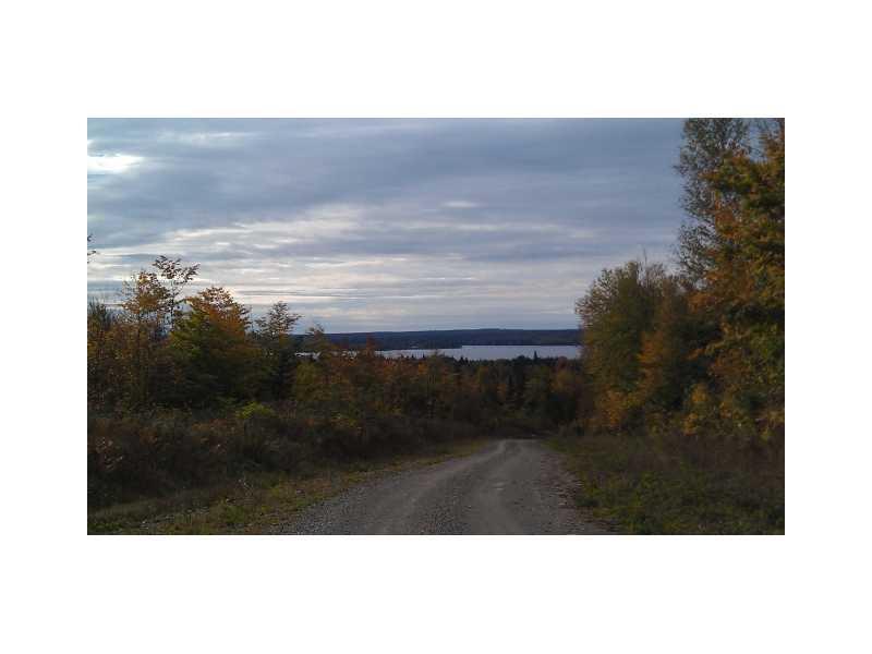 Land/Lot.