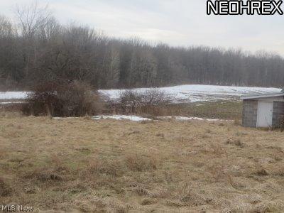 3789 Hayes Road Dorset, OH 44032 - Photo 8 of 12 Gallery Image 8