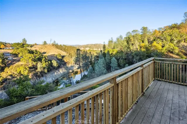 a view of a forest with a lake