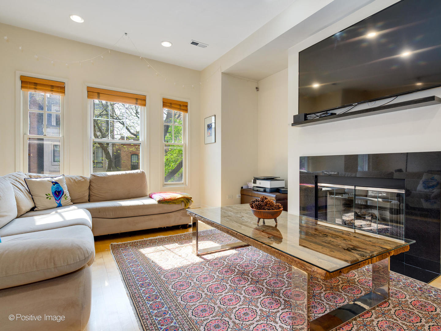 1829 North Mohawk Street, Unit 2N Chicago, IL 60614 - Photo 4 of 16 a living room with furniture and a flat screen tv