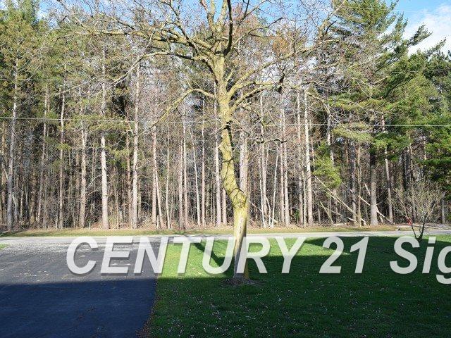 105 North Fenmore Road Merrill, MI 48637 - Photo 18 of 18