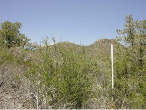 2298 Lichen Ridge Lane Prescott, AZ 86303 - Photo 1 of 7 Primary Photo