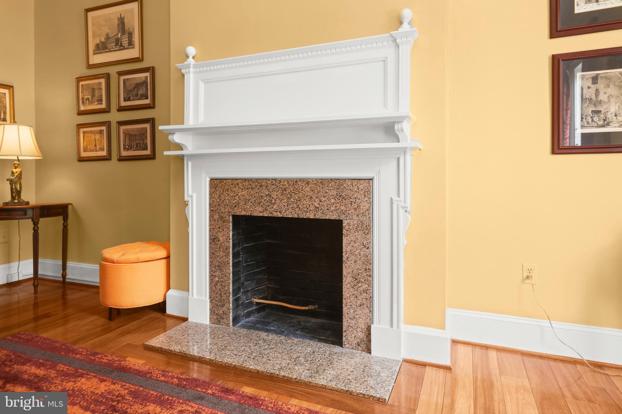 1007 North Calvert Street Baltimore, MD 21202 - Photo 17 of 43 a living room with a couch and a fireplace