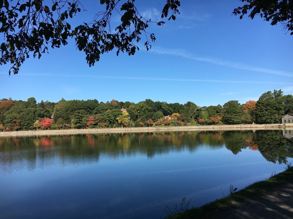 15 Adelaide Street, Unit 1R Boston, MA 02130 - Photo 10 of 21