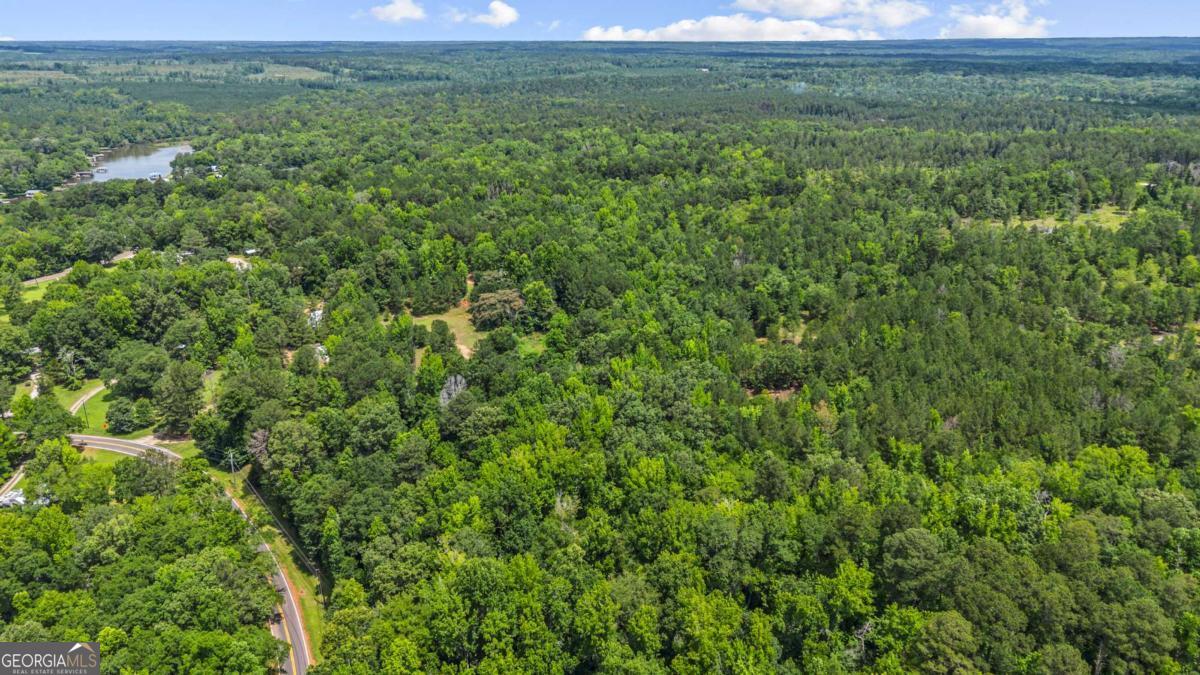 195 Cold Branch Road Eatonton, GA 31024 - Photo 10 of 24