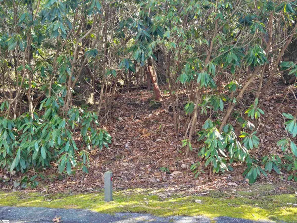 $39,000 | 620 Cliff Ridge Drive, Cleveland, SC 29635