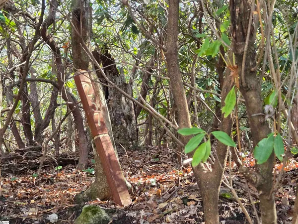 $39,000 | 620 Cliff Ridge Drive, Cleveland, SC 29635