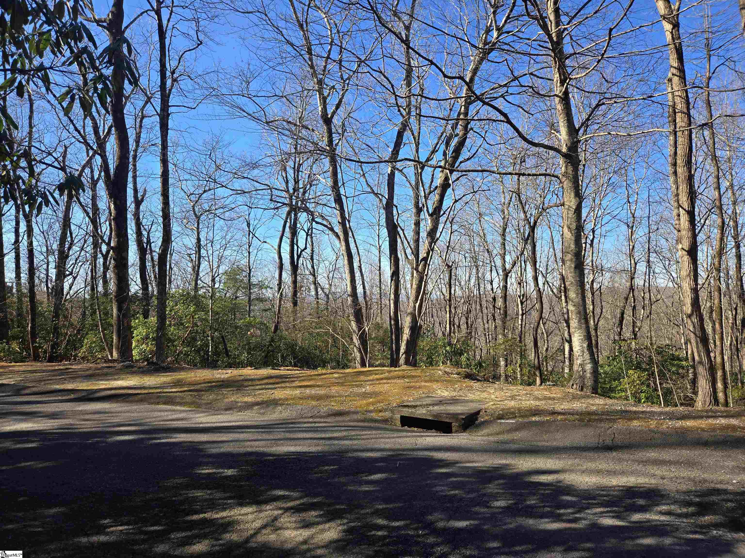 620 Cliff Ridge Drive Cleveland, SC 29635 - Photo 3 of 12