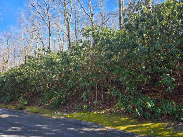 $39,000 | 620 Cliff Ridge Drive, Cleveland, SC 29635