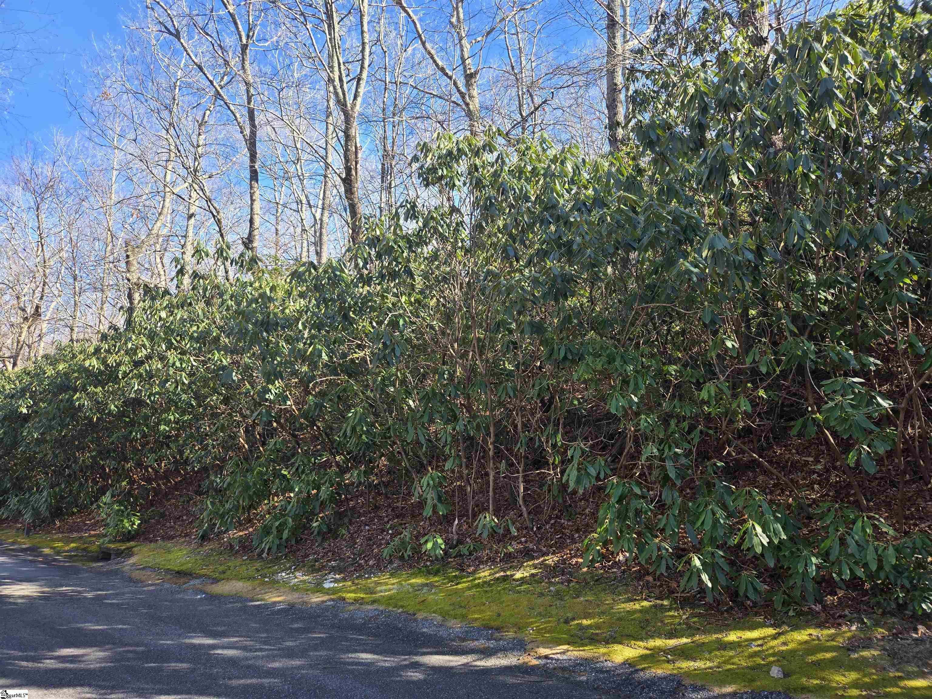 620 Cliff Ridge Drive Cleveland, SC 29635 - Photo 4 of 12