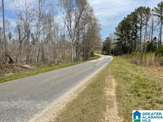 30 County Road, Unit 4 Roanoke, AL 36274 - Photo 3 of 4