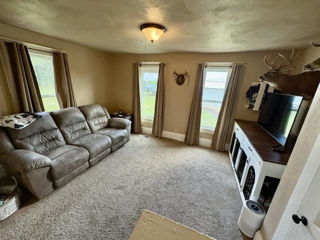 N307 Haddinger Road Monroe, WI 53566 - Photo 12 of 49