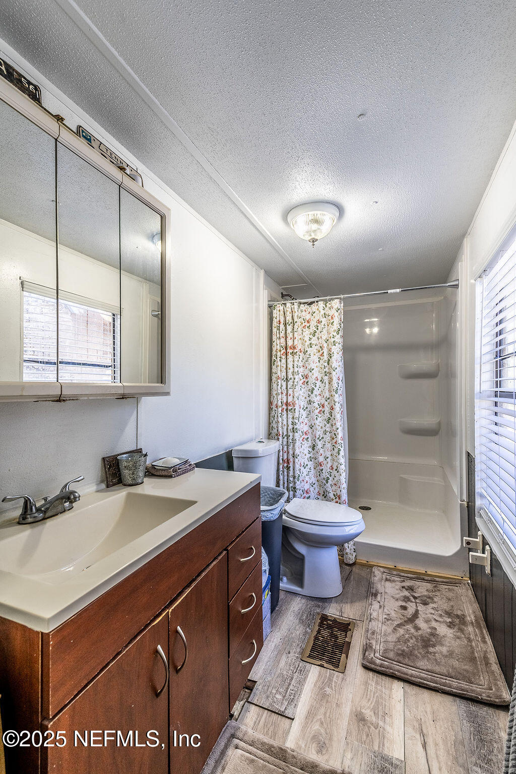 19040 Waterville Road Jacksonville, FL 32226 - Photo 15 of 28 a bathroom with a sink a toilet and a mirror