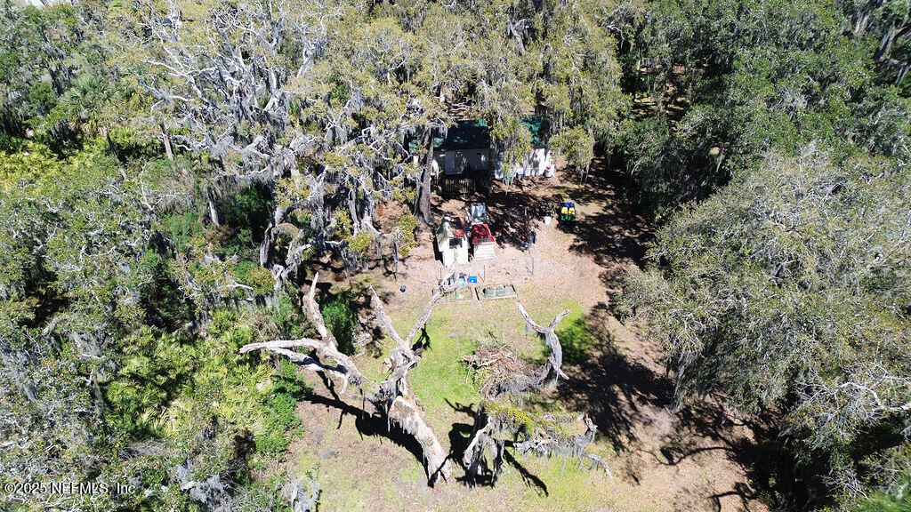 19040 Waterville Road Jacksonville, FL 32226 - Photo 23 of 28 a view of a tree in a forest
