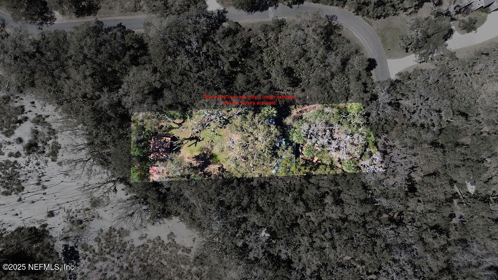 19040 Waterville Road Jacksonville, FL 32226 - Photo 24 of 28 a view of a forest with a tree
