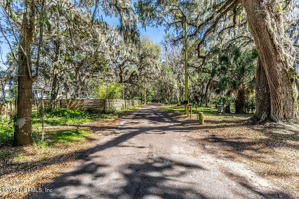 19040 Waterville Road Jacksonville, FL 32226 - Photo 3 of 28 a view of a yard with large trees